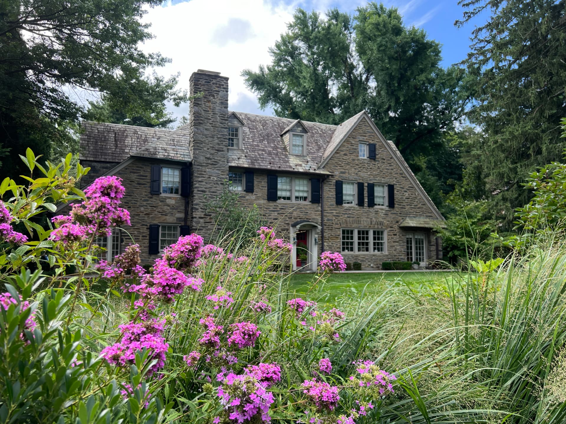 Phlox paniculata and switchgrass in bloom in front of a stone Main Line home