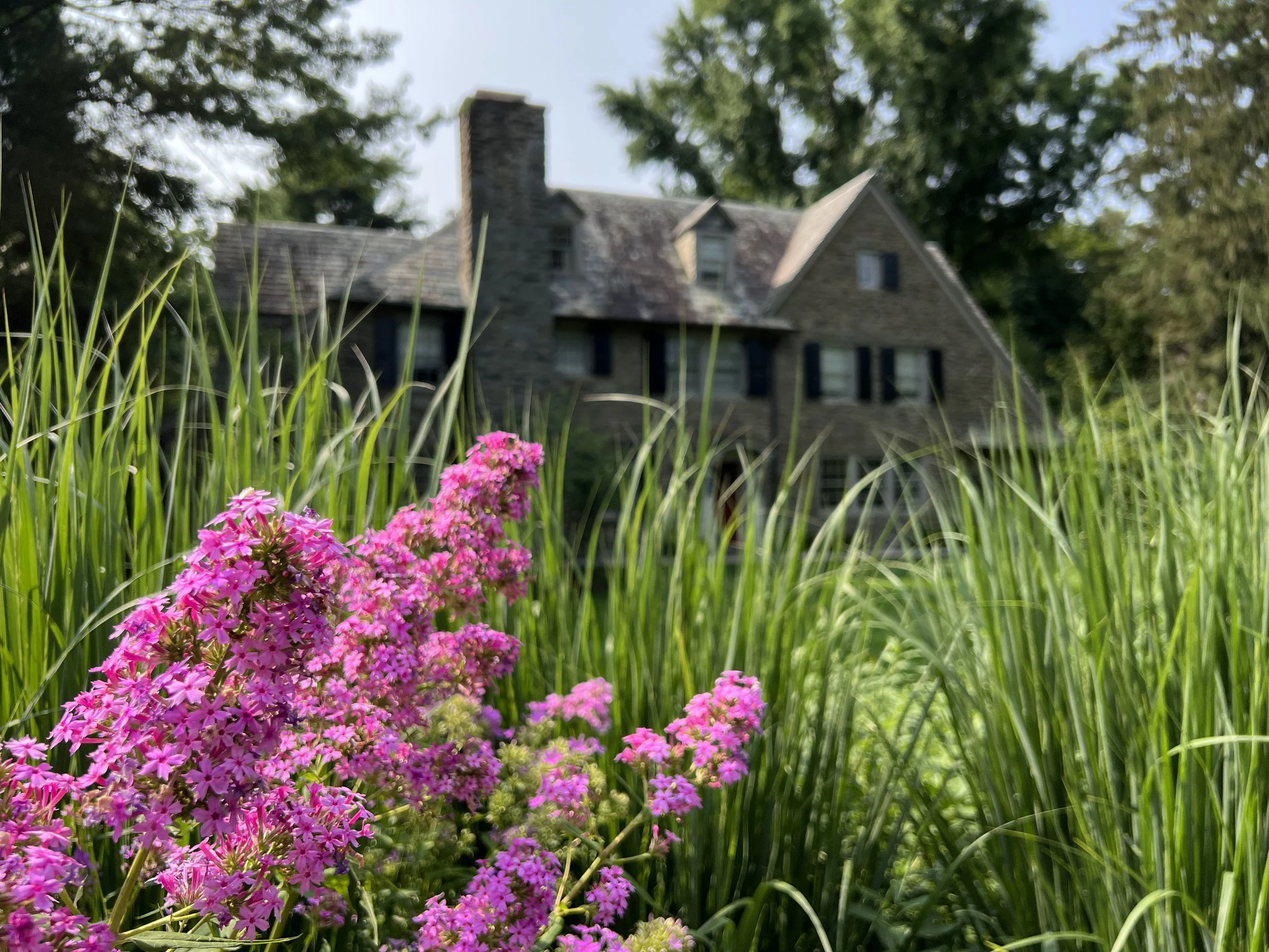 Native grasses and flowering perennials in front of an old stone Main Line house
